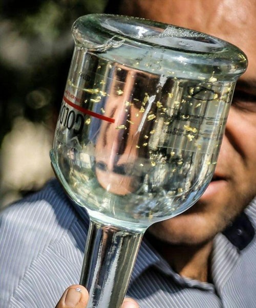 جمع‌آوری مشروبات الکلی با طلای خوراکی