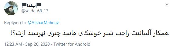توئیت دروغین مهناز افشار توئیت دروغین مهناز افشار