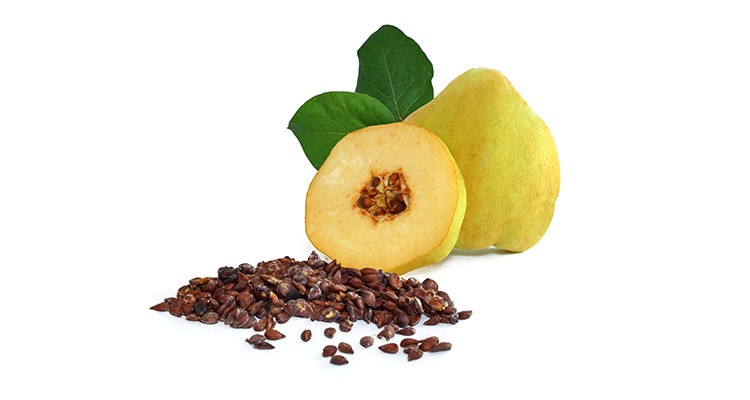 دانه به
