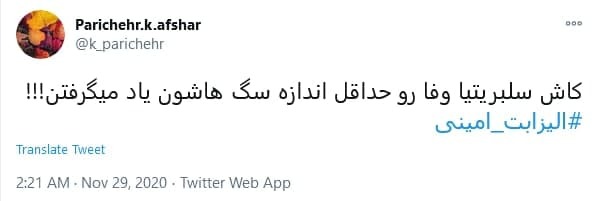 خانم #الیزابت_امینی، لطفا آروم تر وطن فروشی کنید