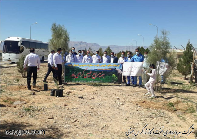 کارکنان زاگرس جنوبی با کاشت ۱۰۰۰ اصله نهال در روز درختکاری 7
