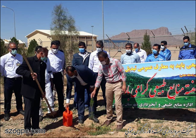 کارکنان زاگرس جنوبی با کاشت ۱۰۰۰ اصله نهال در روز درختکاری 6