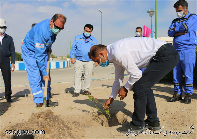 کارکنان زاگرس جنوبی با کاشت ۱۰۰۰ اصله نهال در روز درختکاری 15