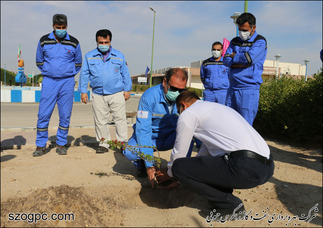 کارکنان زاگرس جنوبی با کاشت ۱۰۰۰ اصله نهال در روز درختکاری 14
