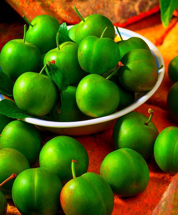 گوجه سبز
