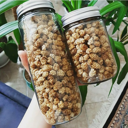 توت خشک خواص داروئی, خواص توت خشک شده, توت خشک