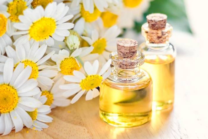 استفاده از روغن بابونه