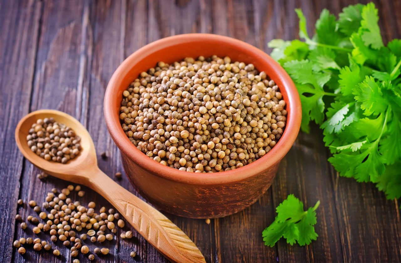خواص گشنیز