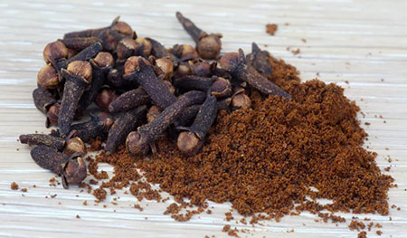 گل ميخك, فواید گل میخک