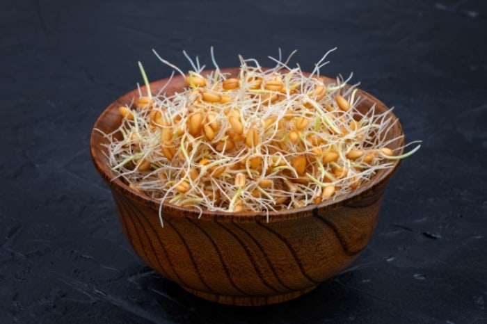 خوردن جوانه گندم