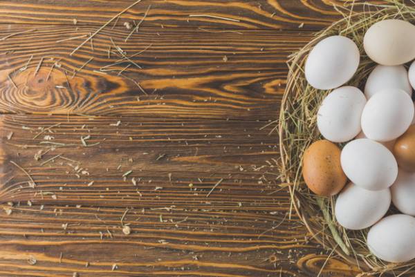egg