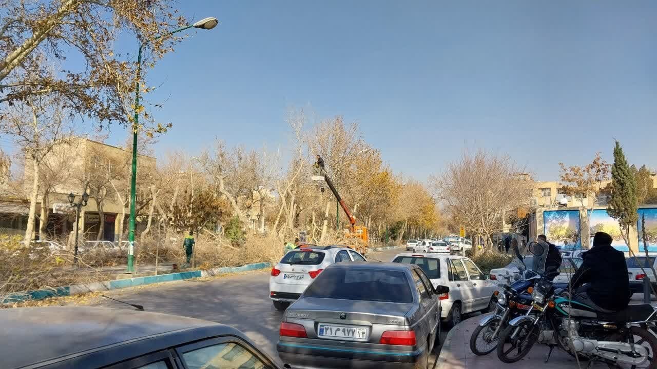 هرس درختان نصف‌جهان با فعالیت ۵۰۰ باغبان