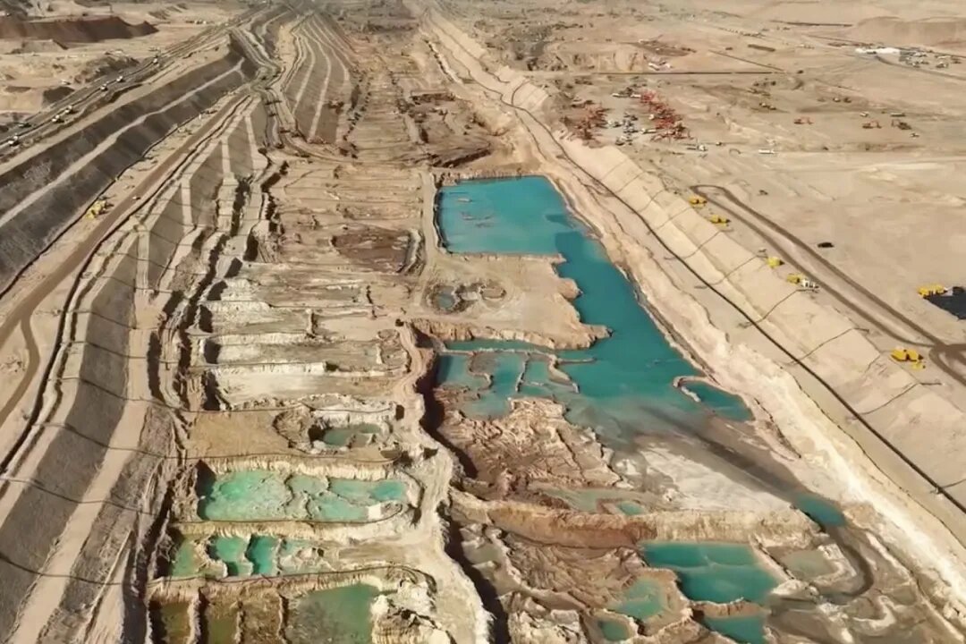 لاین لاین