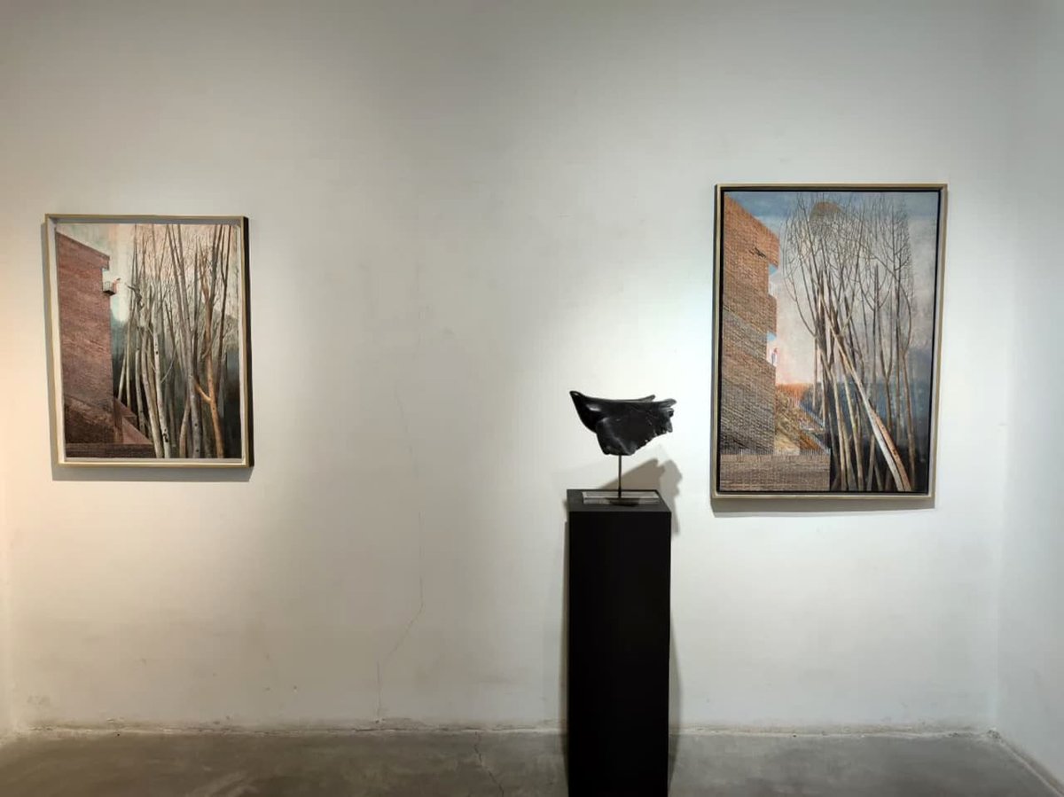 گالری اکنون و خانه صفوی میزبان آثار رضوان صادق زاده شدند