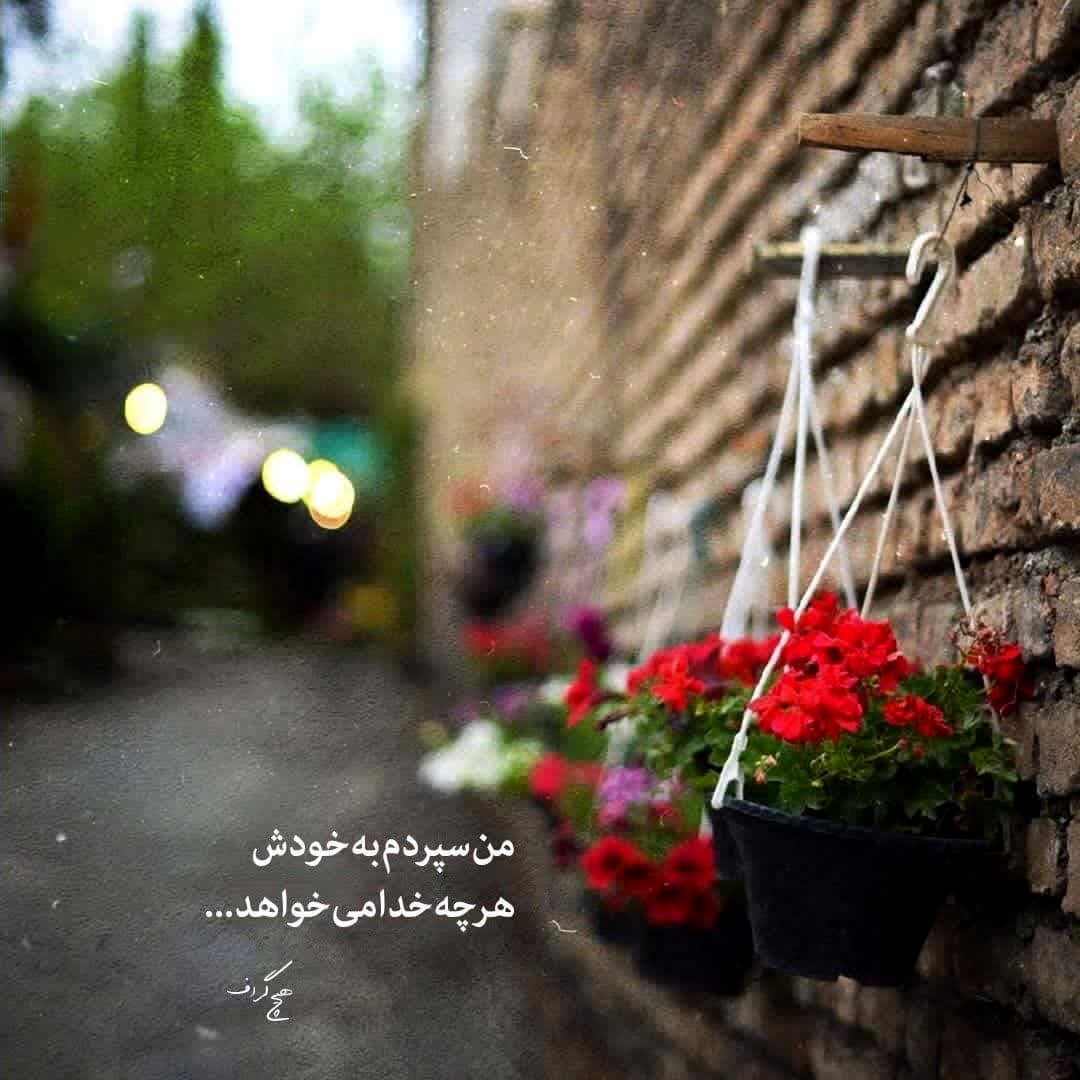 ۵۰ عکس پروفایل جدید 1404 | خاص، دخترونه، عاشقانه، مذهبی و بیشتر