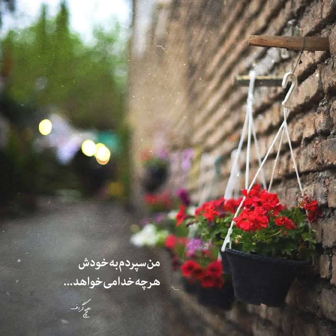 ۵۰ عکس پروفایل جدید ۱۴۰۵ | خاص، دخترونه، عاشقانه، مذهبی و بیشتر