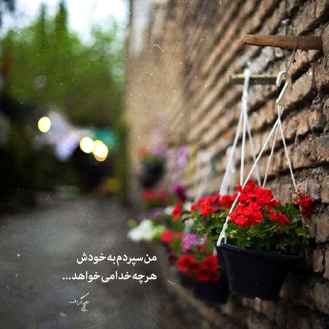 ۵۰ عکس پروفایل جدید 1404 | خاص، دخترونه، عاشقانه، مذهبی و بیشتر