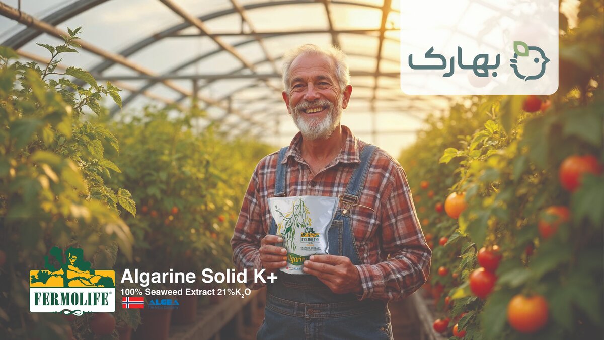 کود جلبک، کود آمینواسید، کود سه بیست و کود آهن چهار جنگجوی حرفه ای برای کشاورزان و تربیت شده توسط بهاران