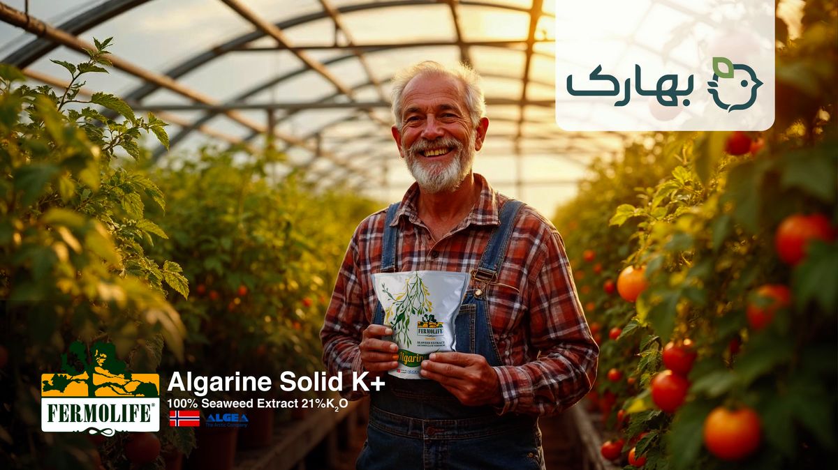 کود جلبک، کود آمینواسید، کود سه بیست و کود آهن چهار جنگجوی حرفه ای برای کشاورزان و تربیت شده توسط بهاران