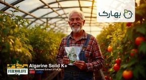 کود جلبک، کود آمینواسید، کود سه بیست و کود آهن چهار جنگجوی حرفه ای برای کشاورزان و تربیت شده توسط بهاران