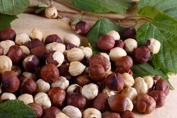 تعبیر خواب فندق امام صادق و حضرت یوسف