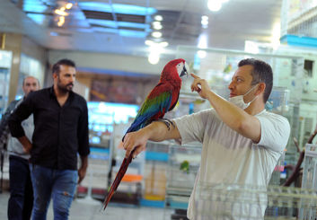 پایان جولان پرنده‌فروشی‌های پراکنده؛ مجتمع پرندگان بومی اصفهان در ایستگاه واگذاری