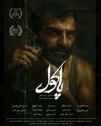فیلم پاکول | داستان کامل، بازیگران، عوامل و زمان اکران فیلم نوید اسماعیلی
