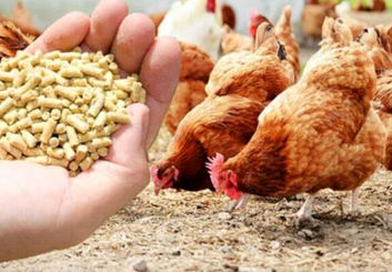 سقوط تولید اصفهان در کمین است؛ نهاده‌های دامی ۲ برابر گران‌تر از نرخ دولتی!