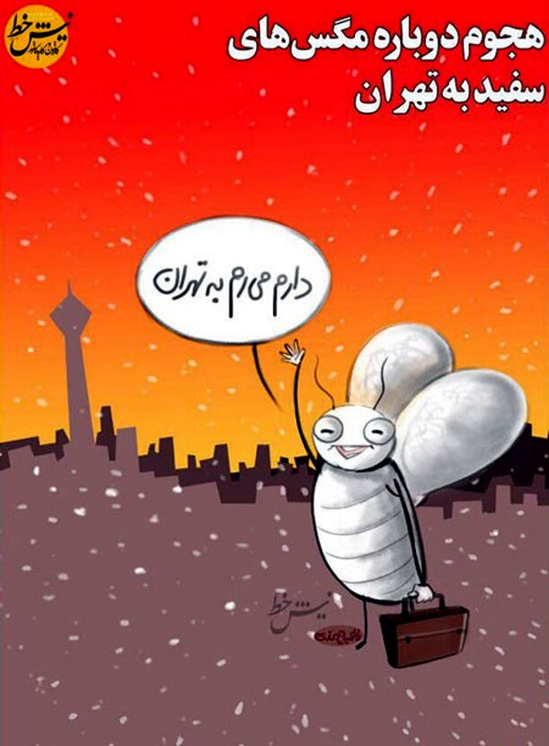 فراخوان مگس‌های سفید برای مهاجرت به تهران!