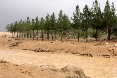 سیل در جرقویه راه افتاد