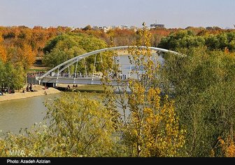 تلاش برای ثبت جهانی منطقه جنگلی ناژوان
