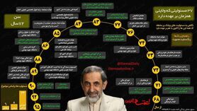 دکتر علی اکبر ولایتی با ۳۷ شغل همزمان