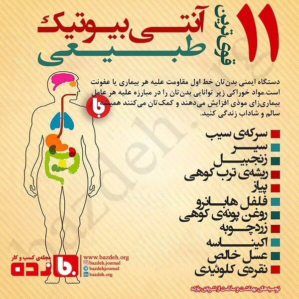 ۱۱ آنتی بیوتیک‌ طبیعی را بشناسید+ اینفوگرافی