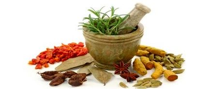 اساس طب سنتی ایرانی توجه به سبک زندگی صحیح است