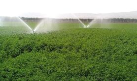 تخصیص ۱۲۰ میلیارد تومان اعتبار به طرح‌های آبیاری تحت‌فشار استان اصفهان