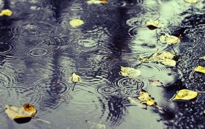 رشد یک درصدی بارش ها در سال آبیِ جاری