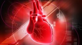 نارسایی قلب همچون سرطان حیات انسان را تهدید می کند