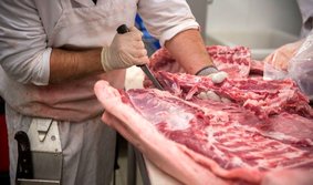 تب کریمه کنگو را جدی بگیریم