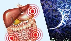 تاثیر کم‌آبی بر بدن بیشتر از کم‌غذایی است