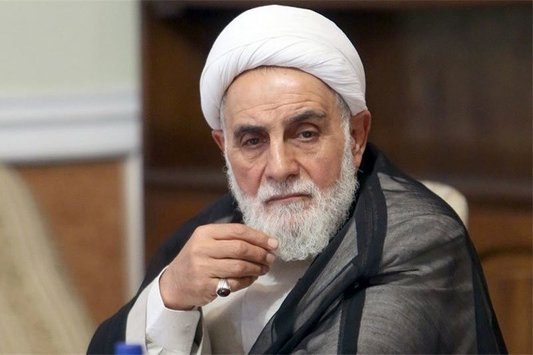 ناطق نوری وارد گود سیاست می‌شود؟