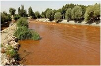 توضیحات محیط زیست پیرامون حادثه عجیب در زاینده‌رود