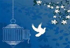 آزادی ۳۵ زندانی جرائم مالی غیرعمد با کمک خیران اصفهانی