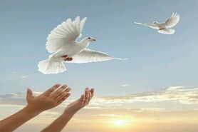 ۱۵هزار زندانی جرایم غیر عمد چشم انتظار خیرین هستند