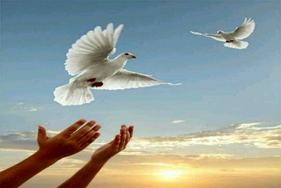 ۱۵هزار زندانی جرایم غیر عمد چشم انتظار خیرین هستند