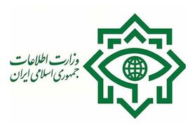 دستگیری ۴۱ نفر از عناصر داعش