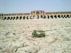 از تدوین برنامه جامع مدیریت زیست بومی تالاب گاوخونی تا وعده مسئولان