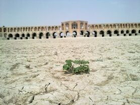 از تدوین برنامه جامع مدیریت زیست بومی تالاب گاوخونی تا وعده مسئولان