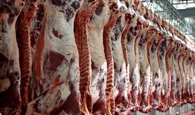 افزایش ۱۰۰۰ تومانی قیمت گوشت قرمز در بازار/گوشت ارمنستان به اصفهان نرسید