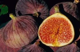 انجیر، میوه مخصوص مبتلایان به کم خونی