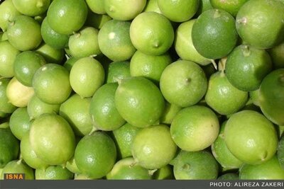 كشف 3 تن ليموي قاچاق در نائين